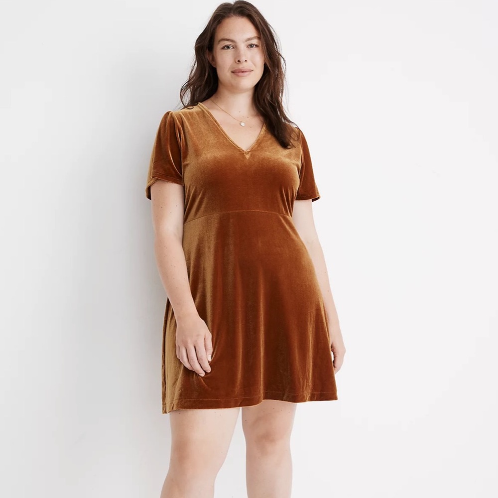 SOLD Madewell Velvet V-neck Flutter Sleeve Dress - Picture 13 of 13